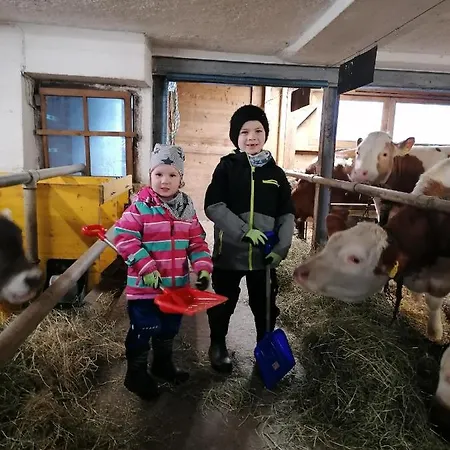 Apartment Stoanerhof