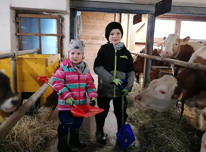 Διαμέρισμα Stoanerhof